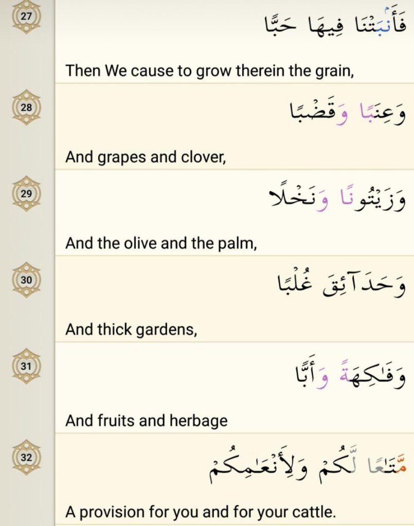 Surah Abasa