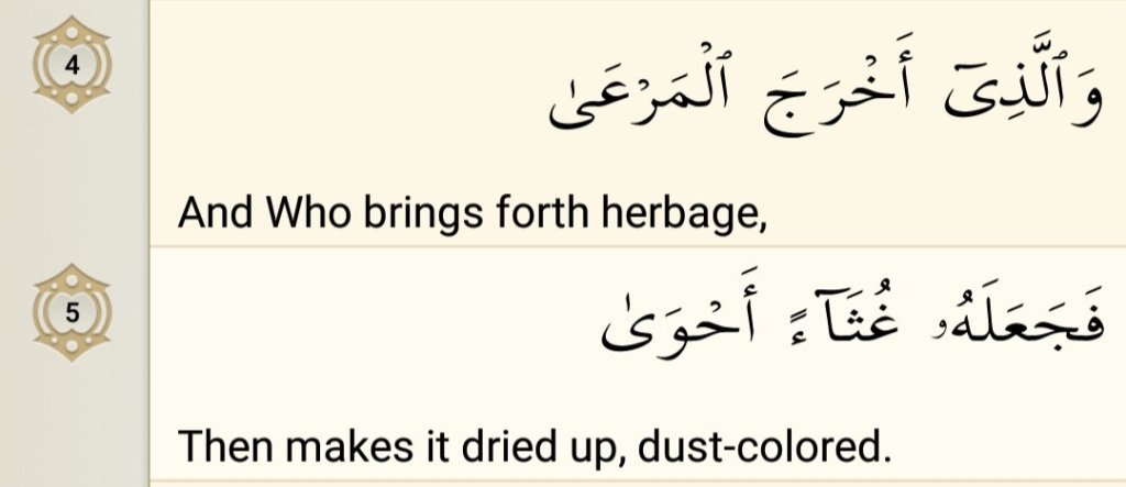 Surah Al-Ala