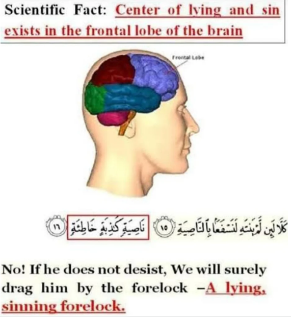 Explanation V: 15-16