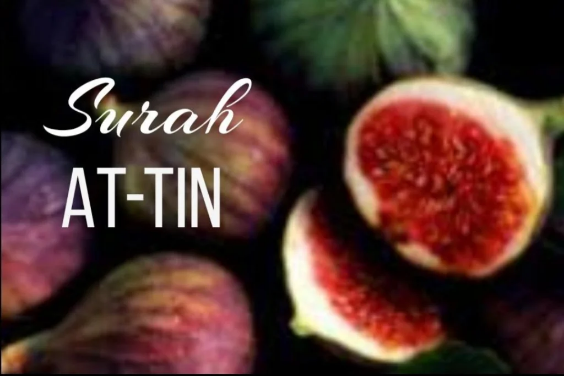 Surah At-Tin