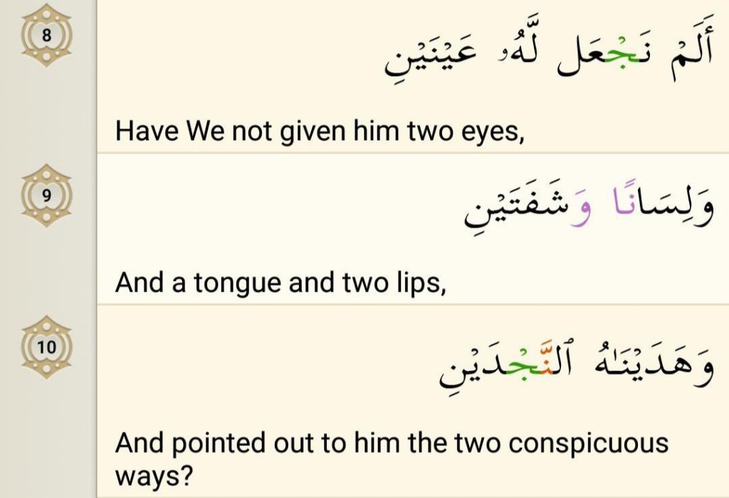 Surah Al-Balad