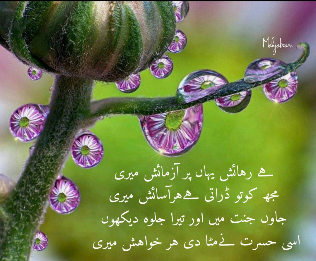 Poetry image #2