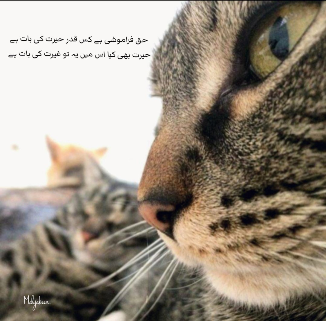 Poetry image #5